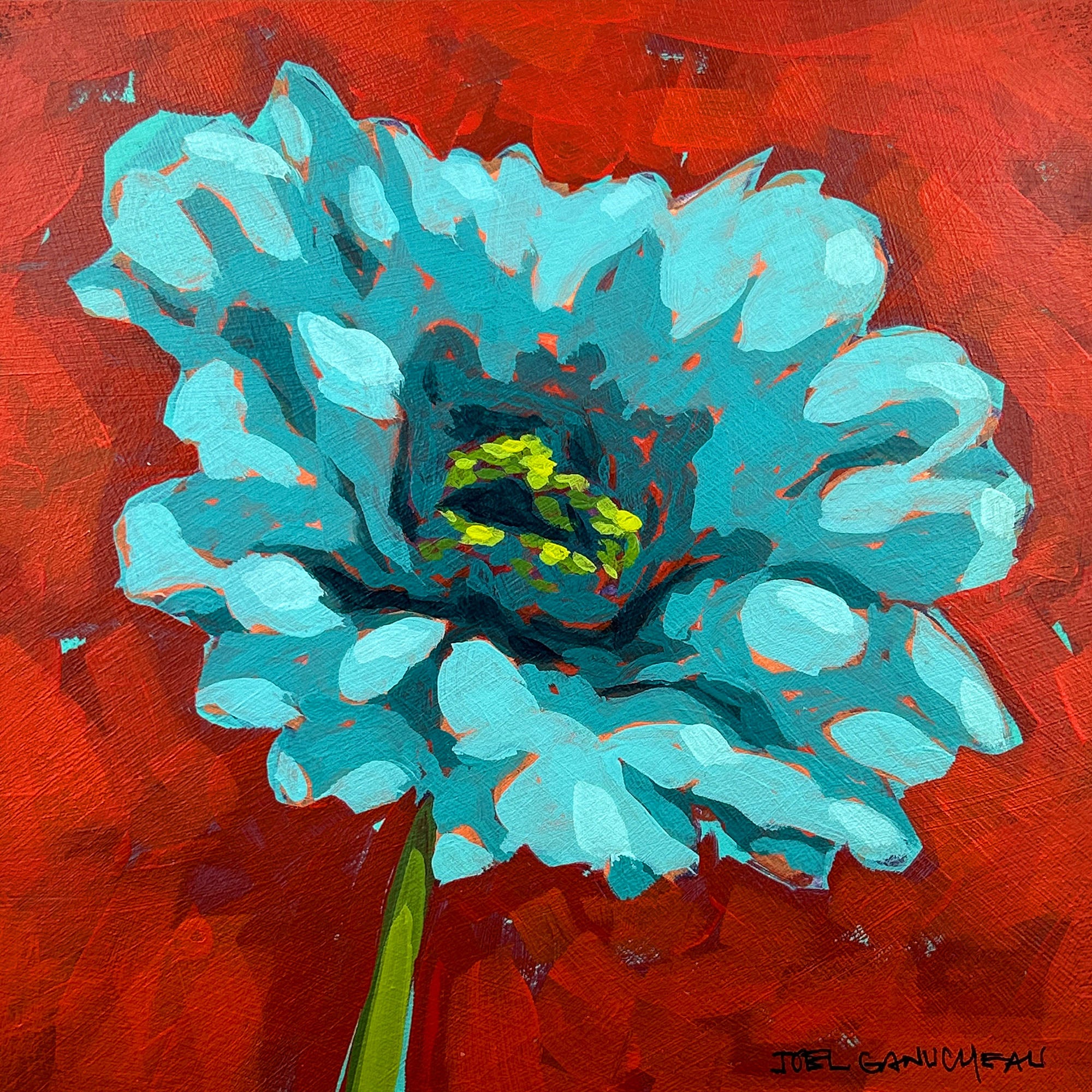 Zinnia Bloom - ORIGINAL - Joel Ganucheau - 8x8"
