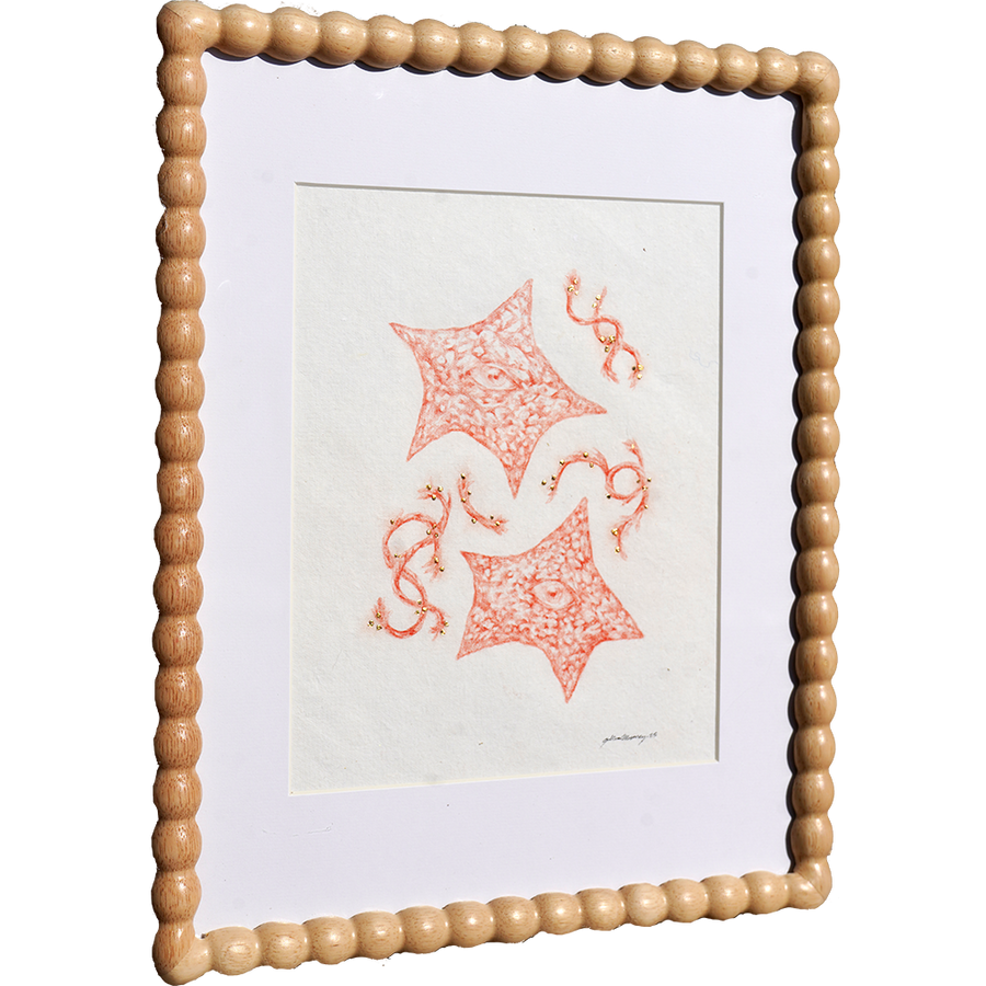 Anti-Charm - Sullivan Meservey - 11x14"