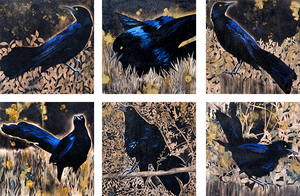 Eclipse Six Grackle Series - Carly Weaver - 17x10"