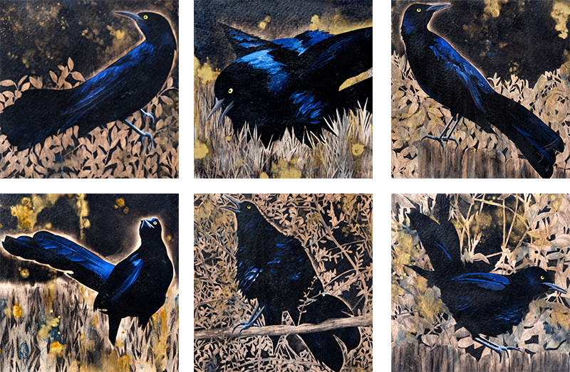 Eclipse Six Grackle Series - Carly Weaver - 17x10"
