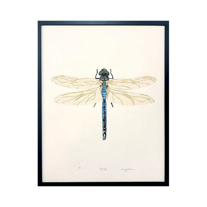 Dragonfly - Landry McMeans - 22 x 28"