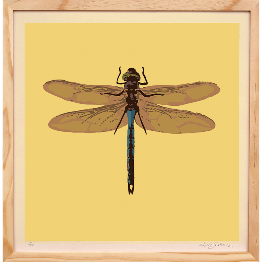 Dragonfly - Framed - Landry McMeans - 18"x18"