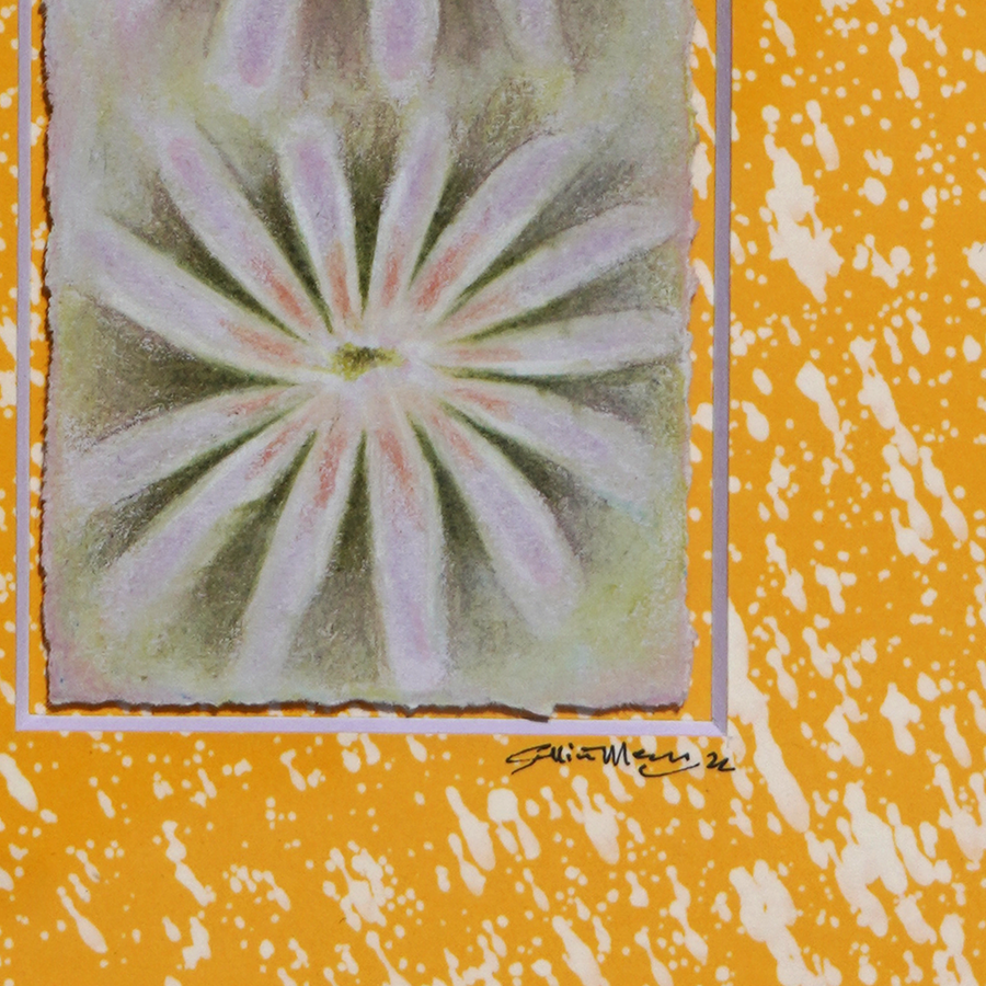 Earthstars III - Sullivan Meservey - 11x14"
