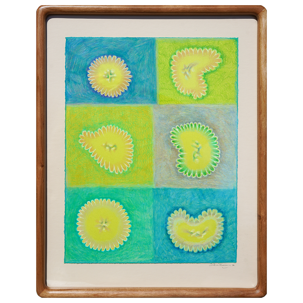 Lock - Sullivan Meservey - 11x14"