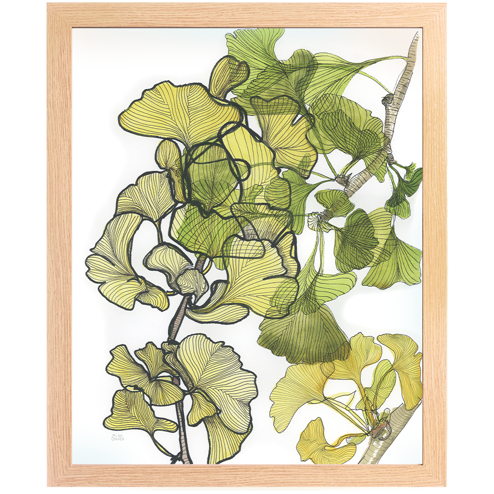 Gathered Gingkos Through The Seasons - Katie Chance - 16x20"