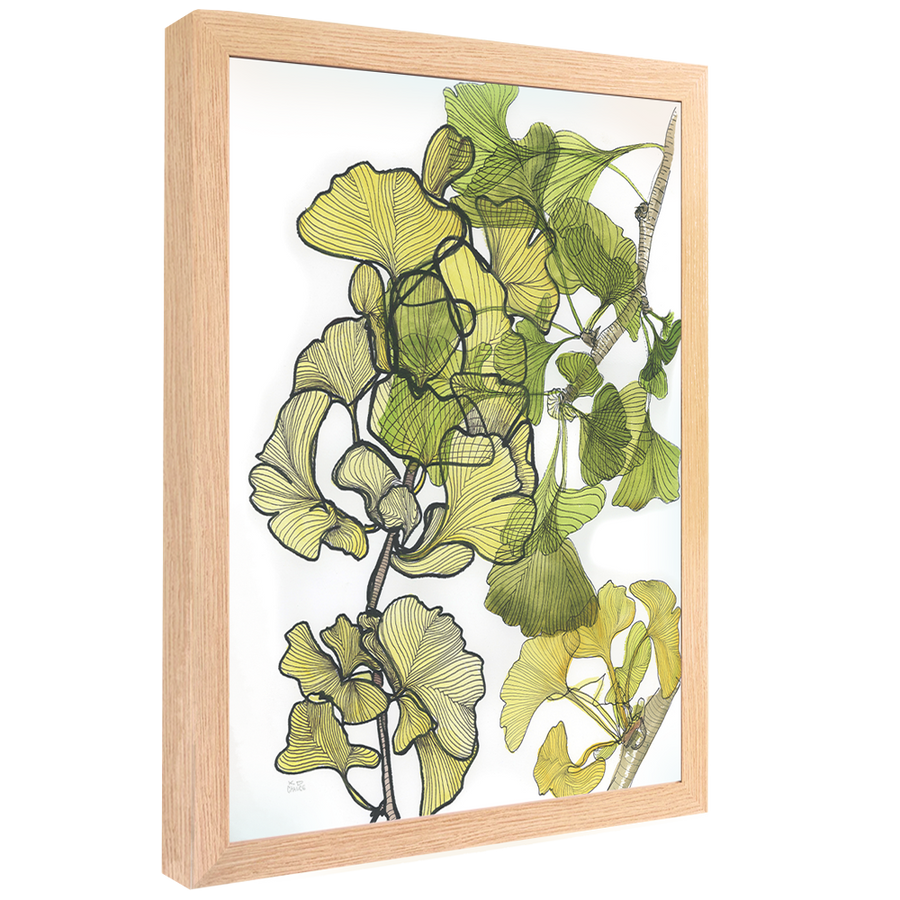 Gathered Gingkos Through The Seasons - Katie Chance - 16x20"