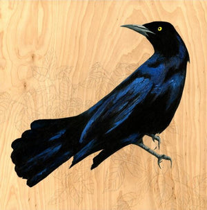Grackle #39 - Carly Weaver - 8 x 8"