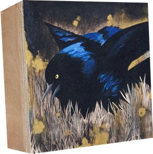 Eclipse Six Grackle Series - Carly Weaver - 17x10"