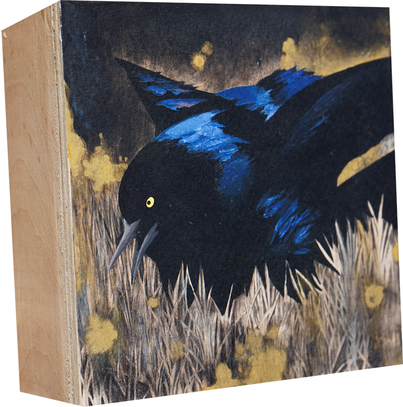 Eclipse Six Grackle Series - Carly Weaver - 17x10"