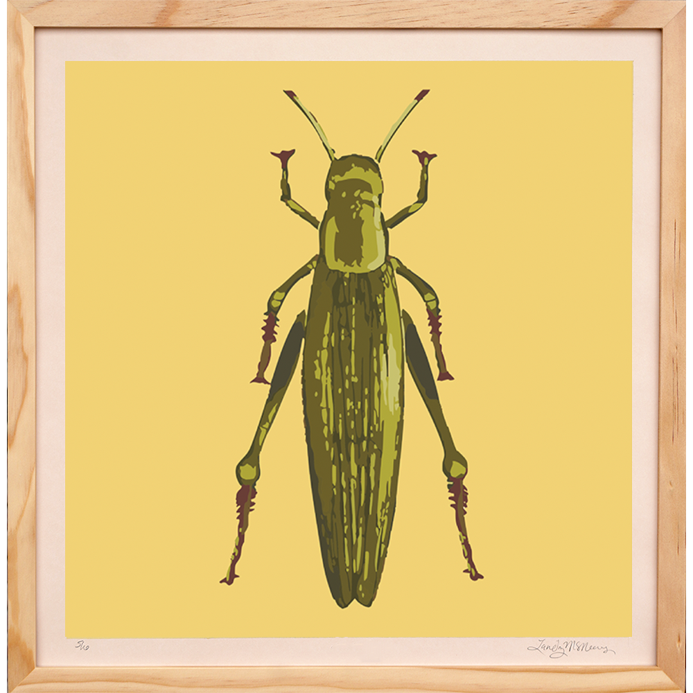 Grasshopper - Framed - Landry McMeans - 18"x18"