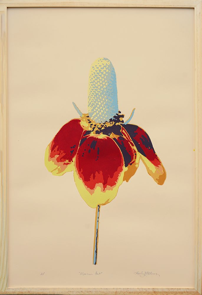 Mexican Hat - Framed - Landry McMeans - 20x30"