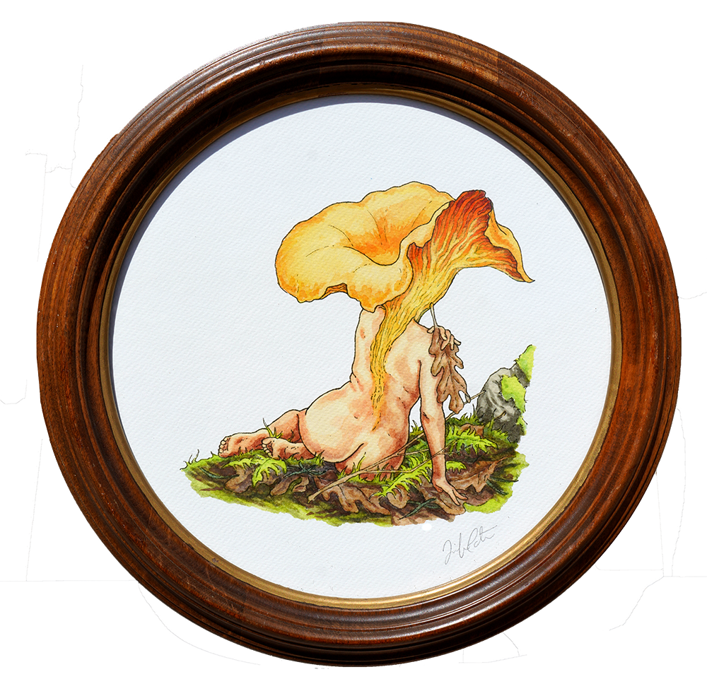 Chanterelle Season - Jennifer Pate - 12x12"