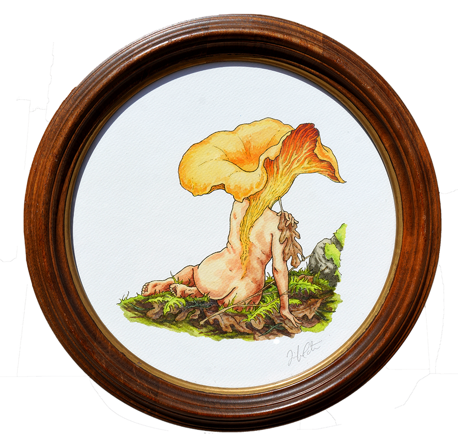 Chanterelle Season - Jennifer Pate - 12x12"