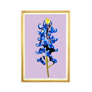 Bluebonnet (Lavender) - Landry McMeans - 20 x 30"