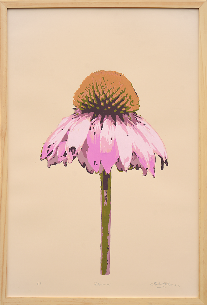 Echinacea - Framed - Landry McMeans - 20x30"