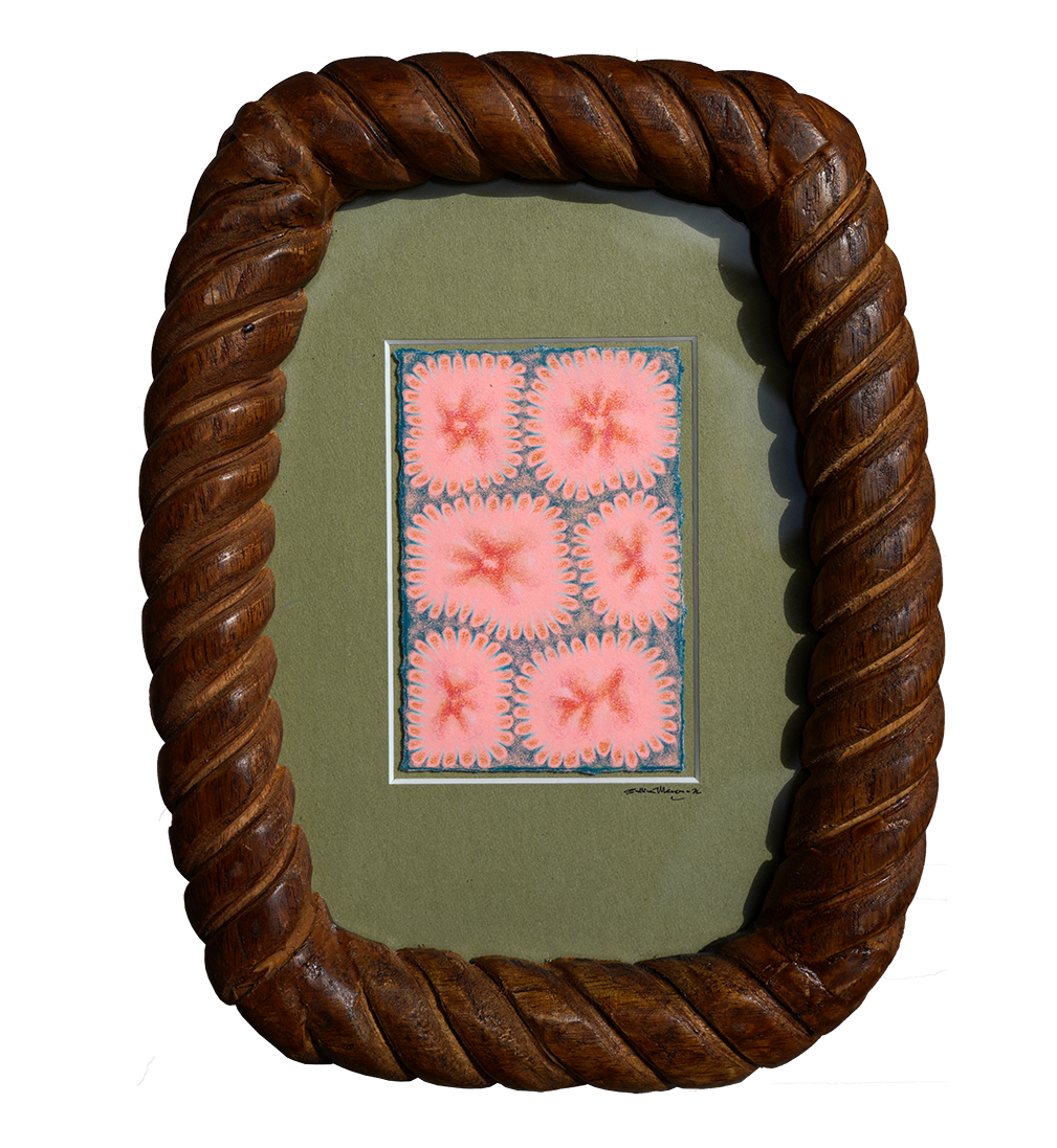 Magic Seeds - Sullivan Meservey - 5x7"