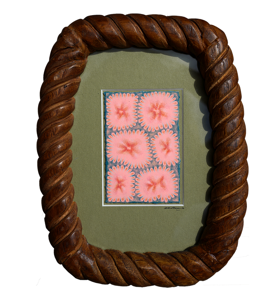 Magic Seeds - Sullivan Meservey - 5x7"