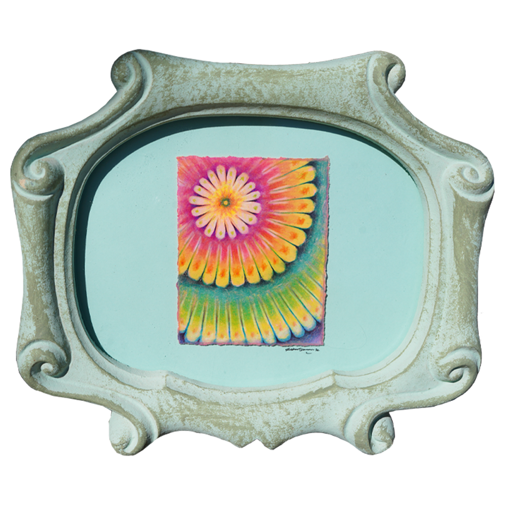 Ovidus - Sullivan Meservey - 5x7"