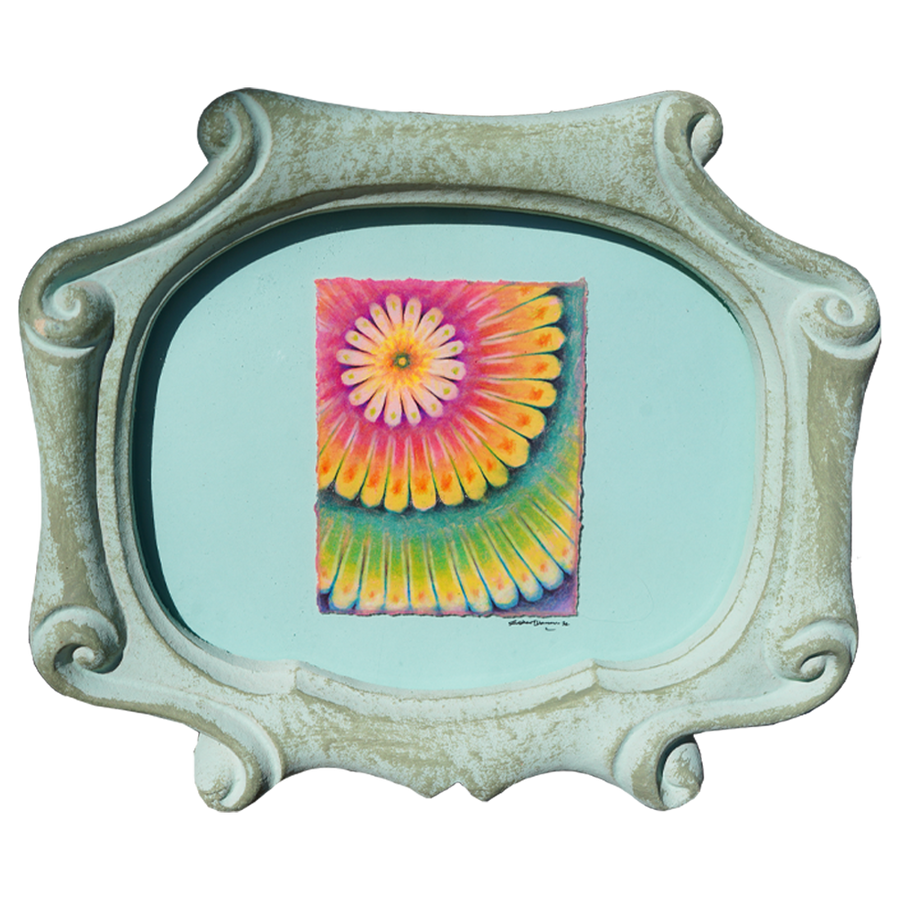 Ovidus - Sullivan Meservey - 5x7"