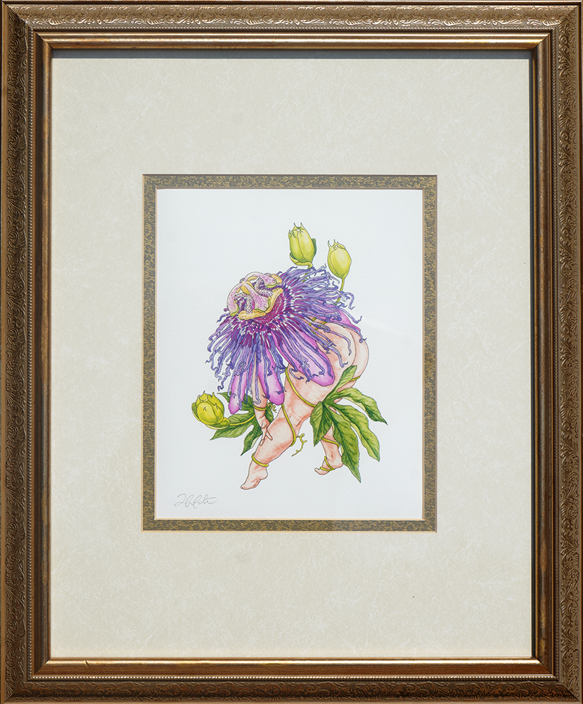 Passion Flower  -  Jennifer Pate -  14x18"