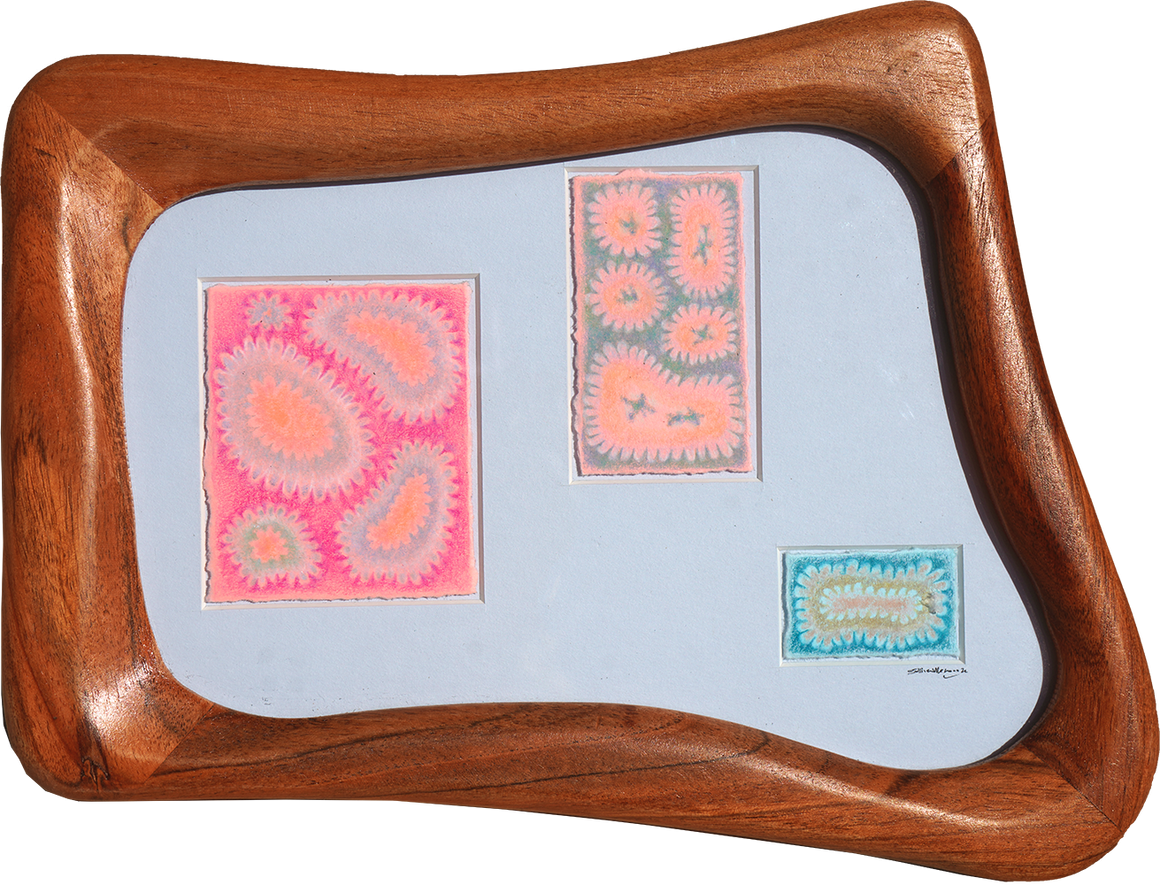 Pixies - Sullivan Meservey - ~7x9"