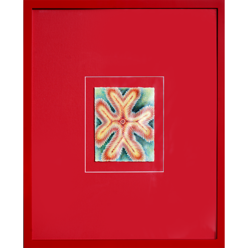 Cymatics - Sullivan Meservey - 16x20"