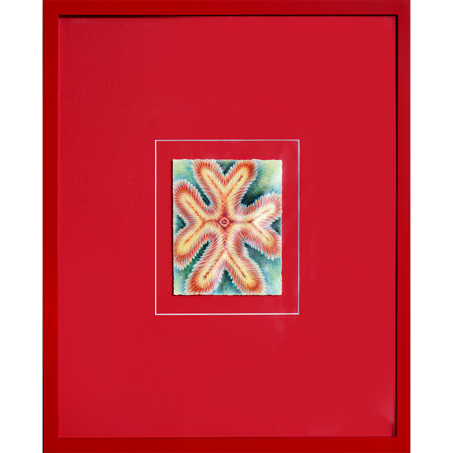 Cymatics - Sullivan Meservey - 16x20"