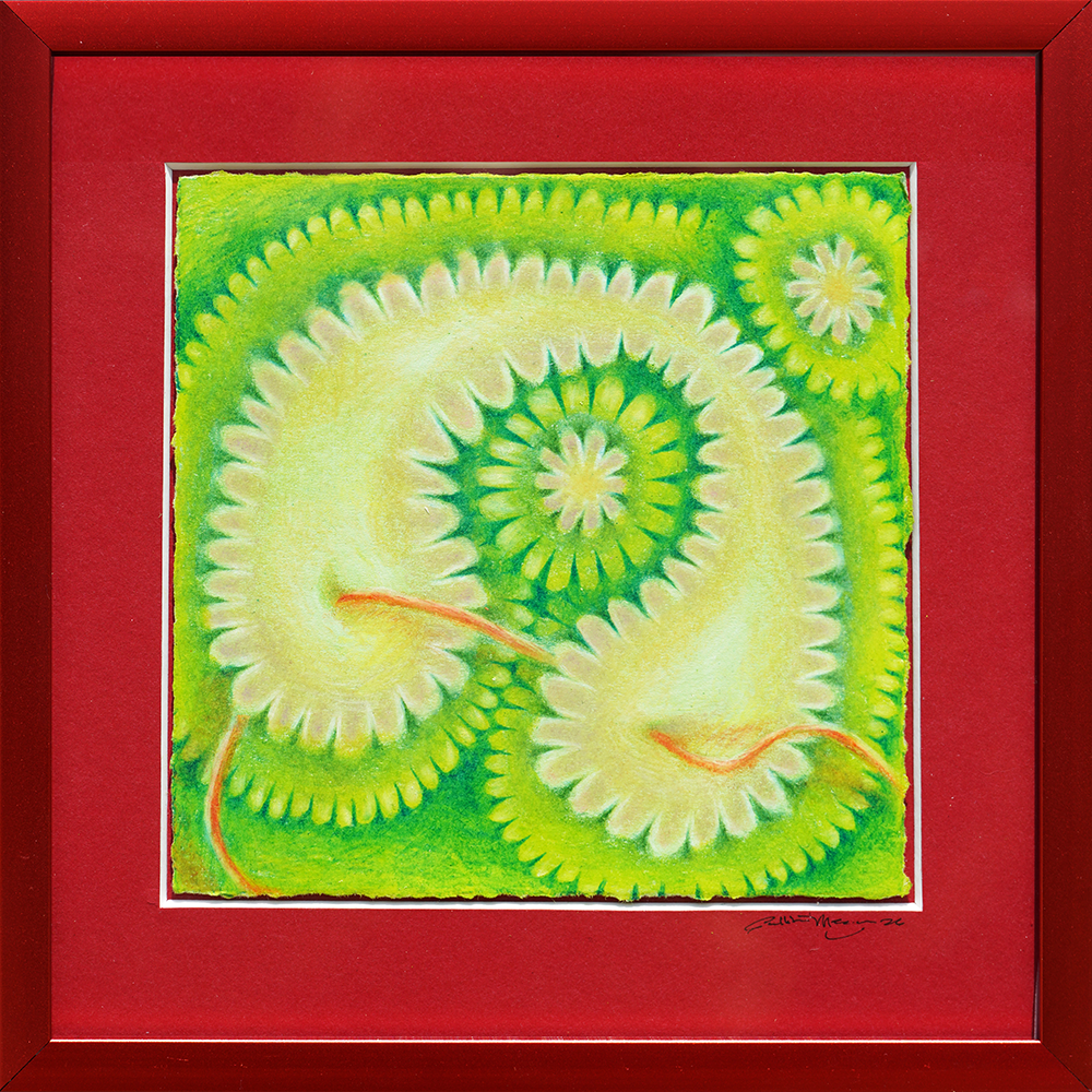 Remember Wings - Sullivan Meservey -  6.5x6.5"