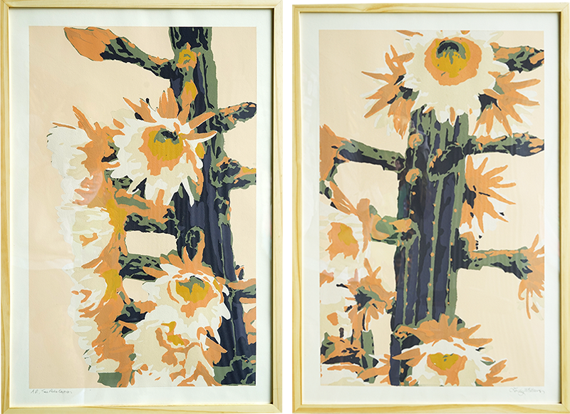 san pedro cactus art San Pedro Cactus - Diptych - Landry McMeans
