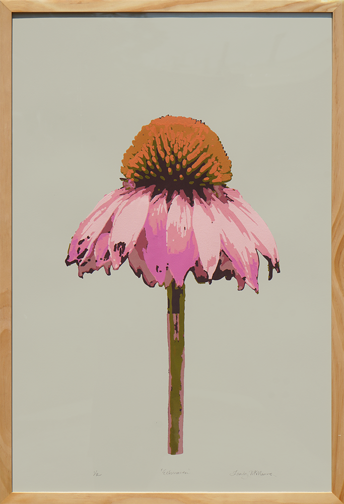 Echinacea - Landry McMeans - 20x30"