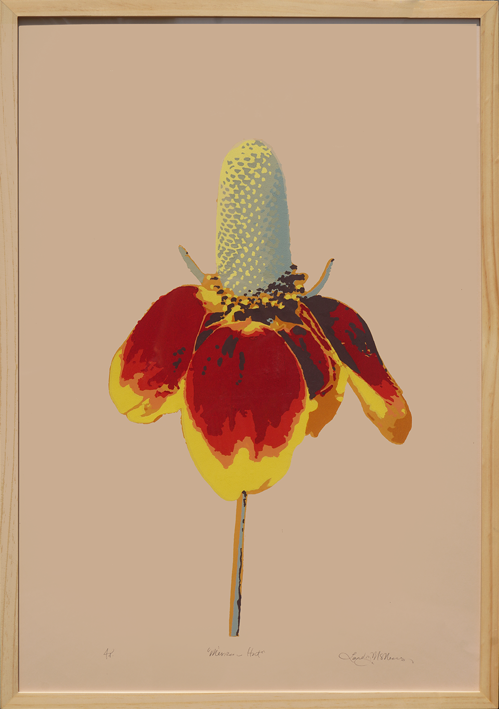 Mexican Hat - Landry McMeans - 20x30"