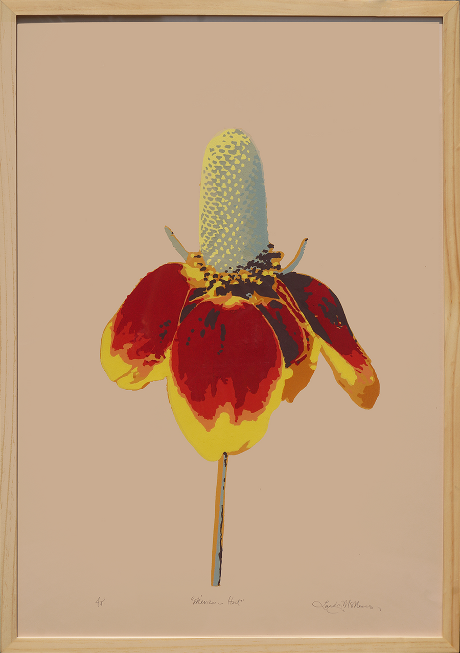 Mexican Hat - Landry McMeans - 20x30"