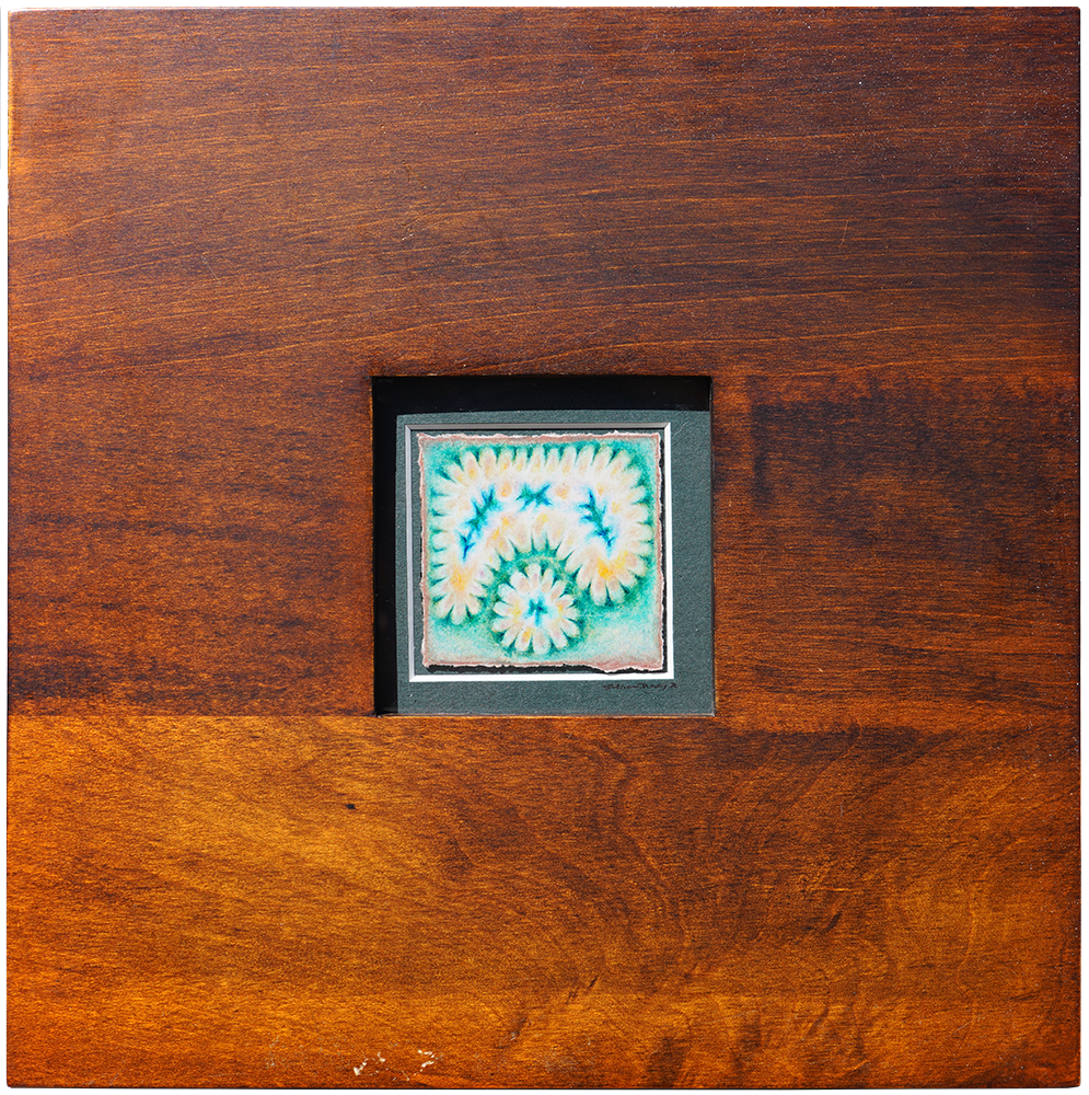 Brother's Antidote - Sullivan Meservey - 8x8"