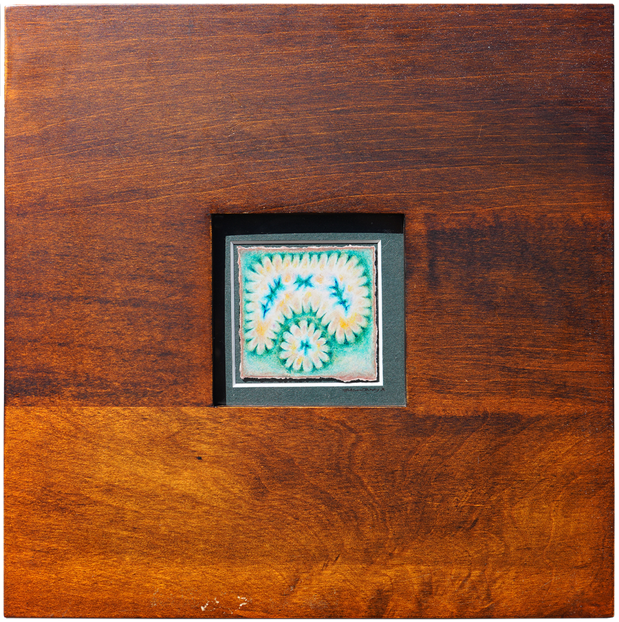 Brother's Antidote - Sullivan Meservey - 8x8"