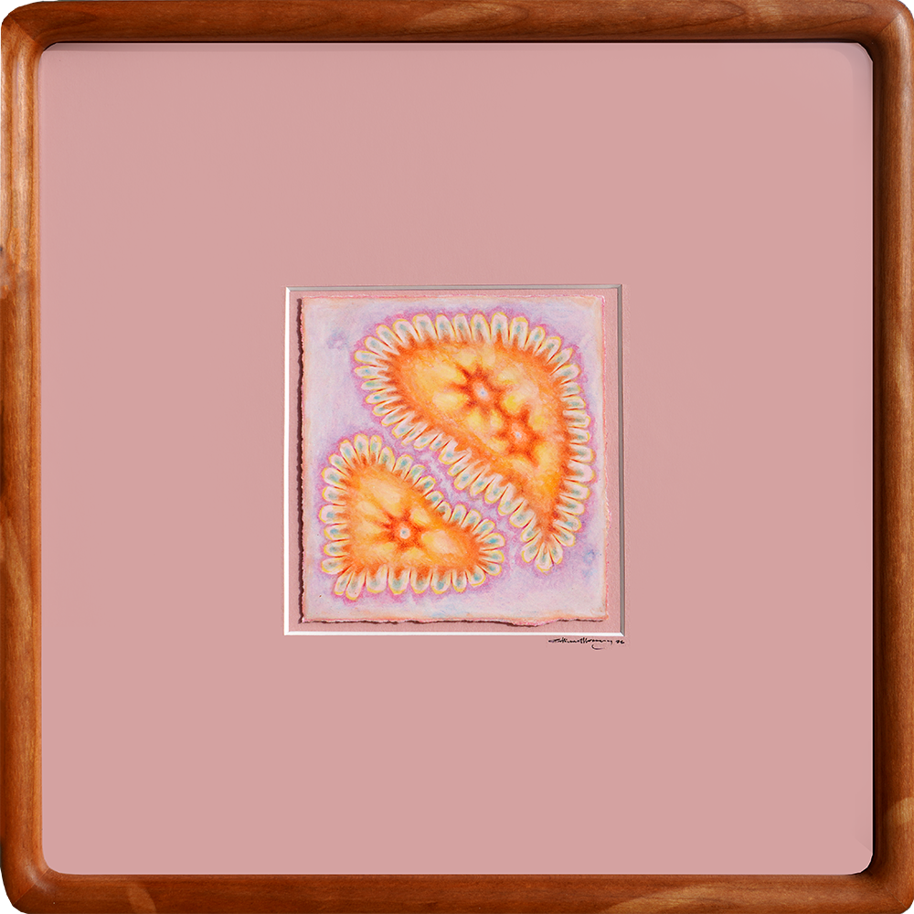 Assuming Supersymmetry - Sullivan Meservey - 10x10"