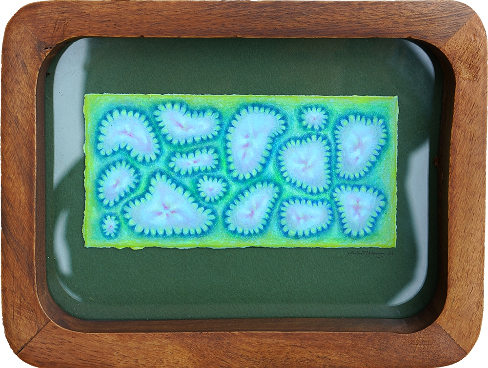 We Share These - Sullivan Meservey - 6x8"