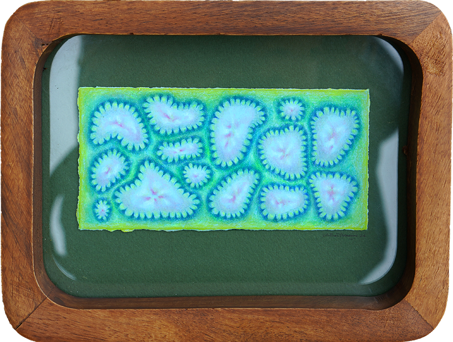 We Share These - Sullivan Meservey - 6x8"