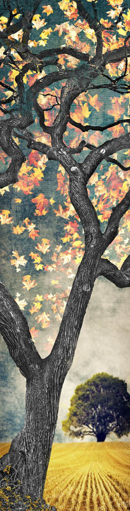 Texas Tree Series by Jake Bryer - Austin Art Garage