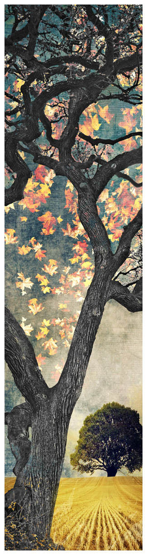 Autumn Oak by Jake Bryer