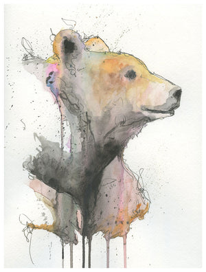 Callisto the Bear - Patrick Hobbie - Print - 12x16