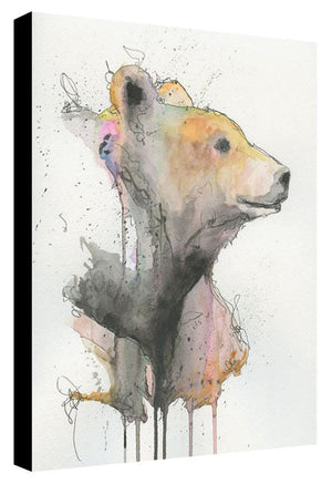 Callisto the Bear - Patrick Hobbie - Print - 12x16