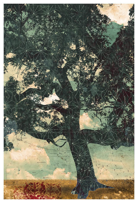 Constellation Tree I - Judy Paul - Print