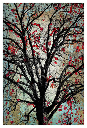 Falling Leaves by Jake Bryer
