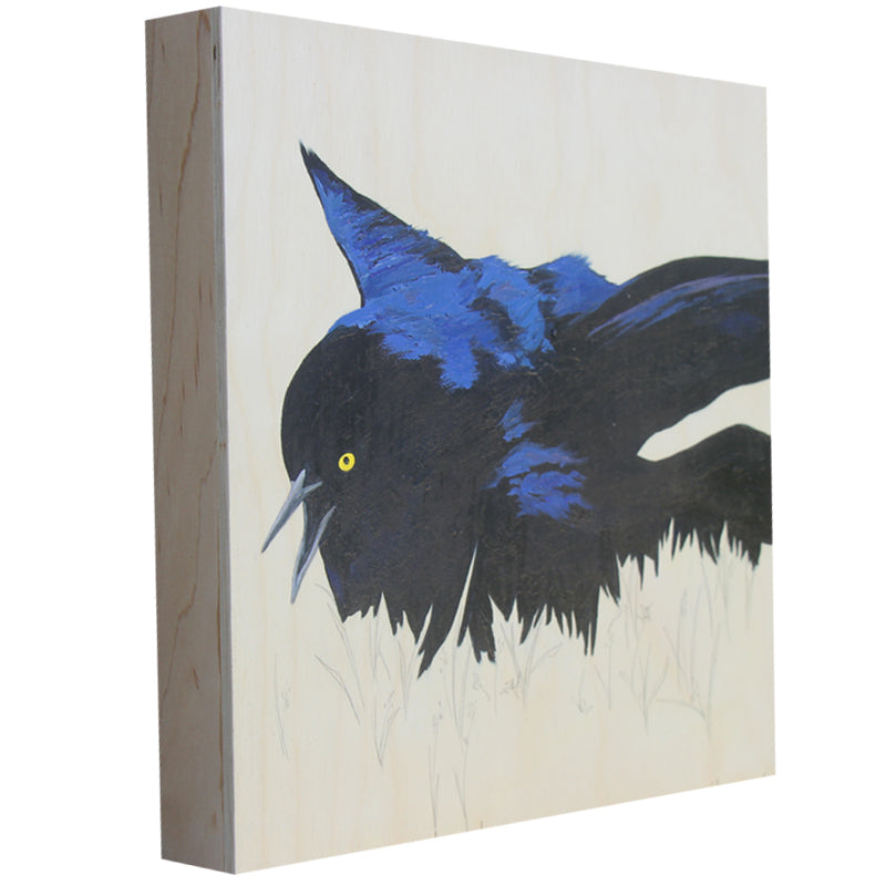 Grackle #26 - Carly Weaver - 12 x 12"