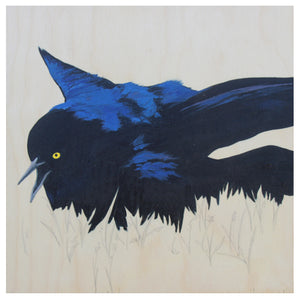 Grackle #26 - Carly Weaver - 12 x 12"