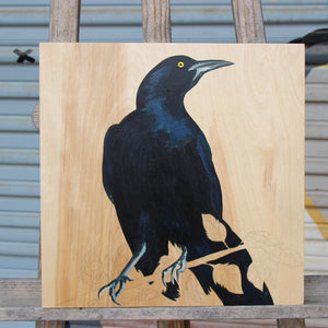 Grackle #35 - Carly Weaver - 12x12"