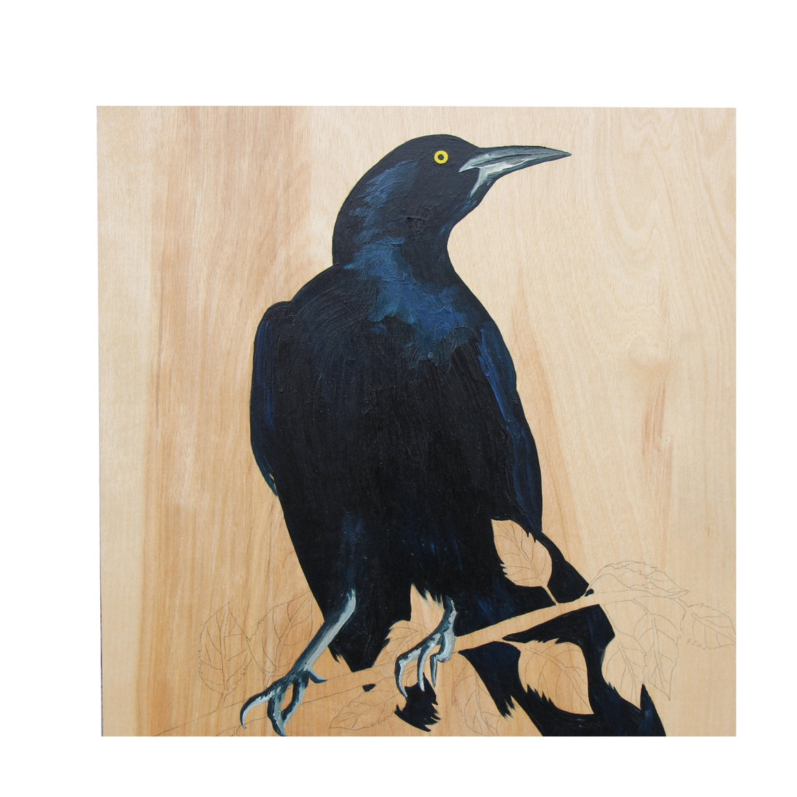 Grackle #35 - Carly Weaver - 12x12"