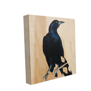 Grackle #35 - Carly Weaver - 12x12"