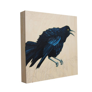 Grackle #40 - Carly Weaver - 12x12"