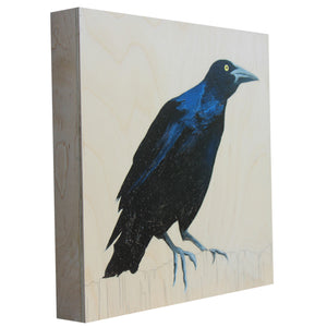Grackle #44 - Carly Weaver - 12 x 12"